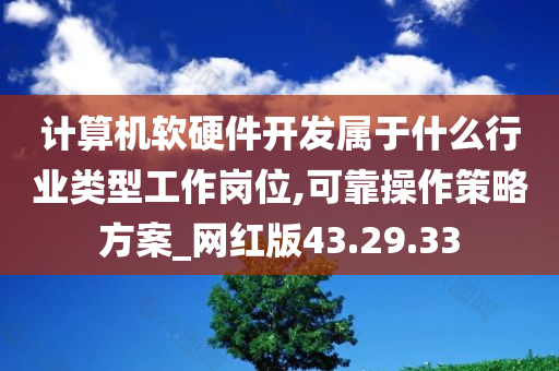 计算机软硬件开发属于什么行业类型工作岗位,可靠操作策略方案_网红版43.29.33