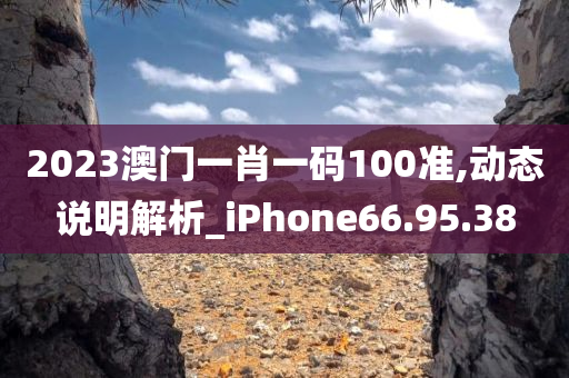 2023澳门一肖一码100准,动态说明解析_iPhone66.95.38