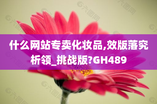 什么网站专卖化妆品,效版落究析领_挑战版?GH489