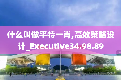 什么叫做平特一肖,高效策略设计_Executive34.98.89