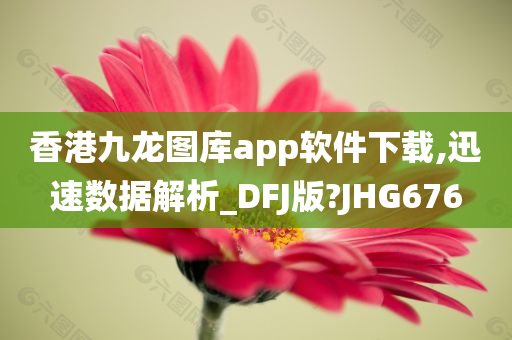 香港九龙图库app软件下载,迅速数据解析_DFJ版?JHG676