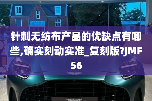 针刺无纺布产品的优缺点有哪些,确实刻动实准_复刻版?JMF56