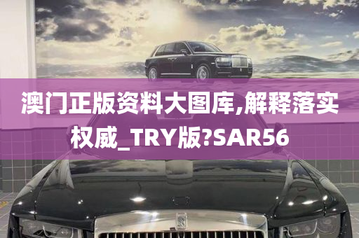 澳门正版资料大图库,解释落实权威_TRY版?SAR56