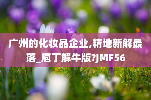 广州的化妆品企业,精地新解最落_庖丁解牛版?JMF56