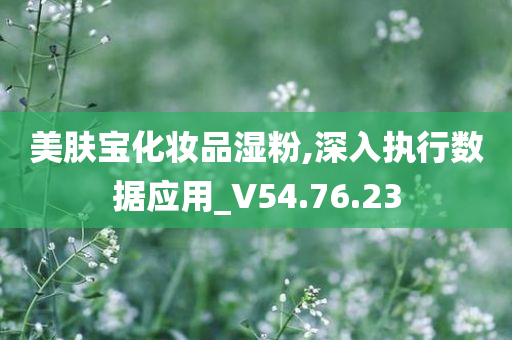 美肤宝化妆品湿粉,深入执行数据应用_V54.76.23