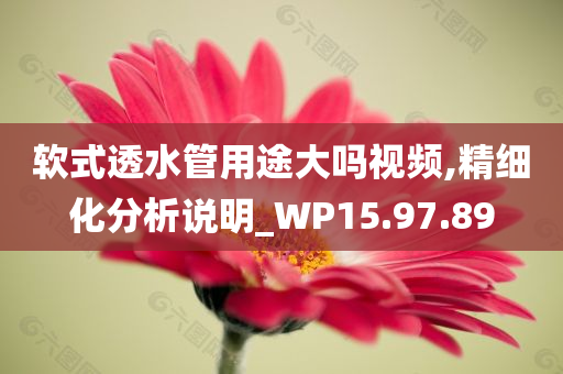 软式透水管用途大吗视频,精细化分析说明_WP15.97.89