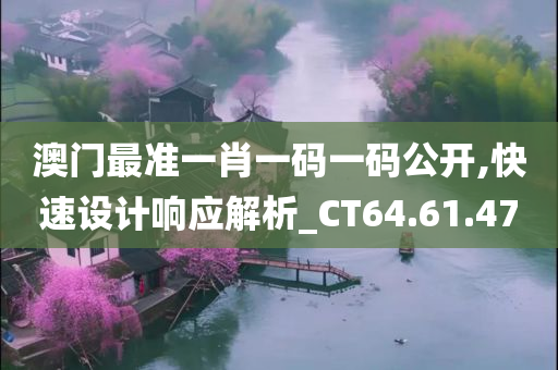 澳门最准一肖一码一码公开,快速设计响应解析_CT64.61.47