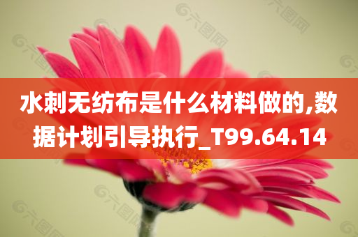 水刺无纺布是什么材料做的,数据计划引导执行_T99.64.14