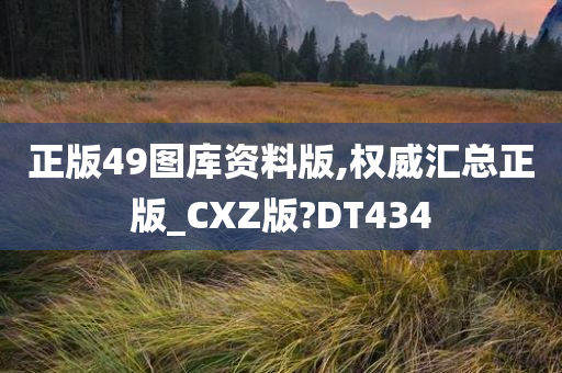 正版49图库资料版,权威汇总正版_CXZ版?DT434