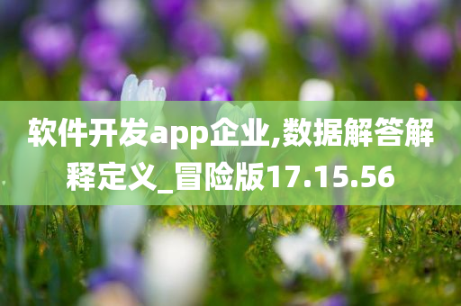 软件开发app企业,数据解答解释定义_冒险版17.15.56