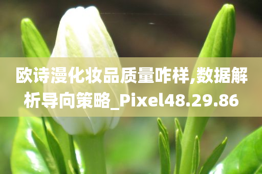 欧诗漫化妆品质量咋样,数据解析导向策略_Pixel48.29.86