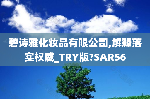 碧诗雅化妆品有限公司,解释落实权威_TRY版?SAR56