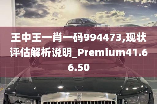 王中王一肖一码994473,现状评估解析说明_Premium41.66.50