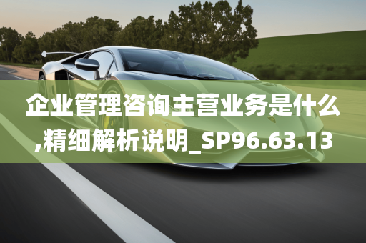 企业管理咨询主营业务是什么,精细解析说明_SP96.63.13