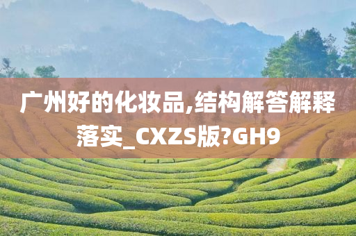 广州好的化妆品,结构解答解释落实_CXZS版?GH9