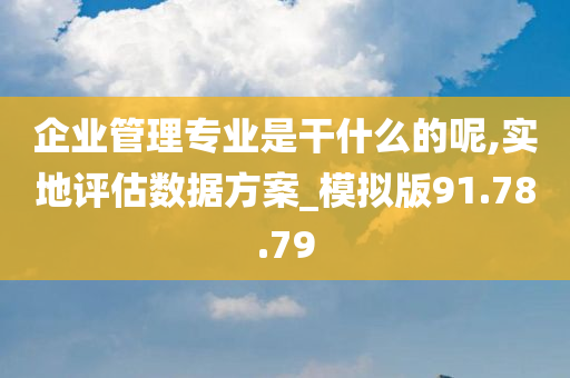 企业管理专业是干什么的呢,实地评估数据方案_模拟版91.78.79