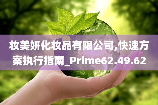 妆美妍化妆品有限公司,快速方案执行指南_Prime62.49.62