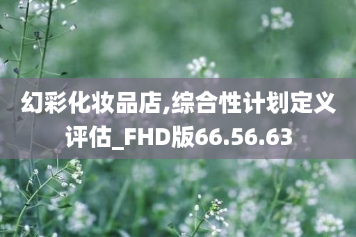 幻彩化妆品店,综合性计划定义评估_FHD版66.56.63