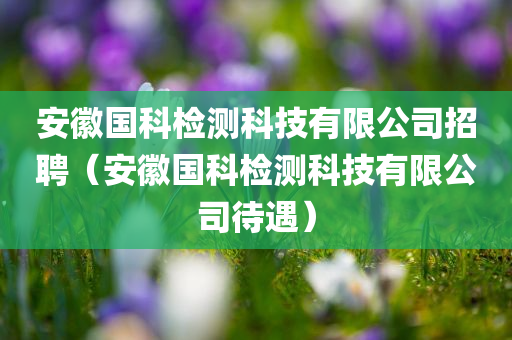 安徽国科检测科技有限公司招聘（安徽国科检测科技有限公司待遇）