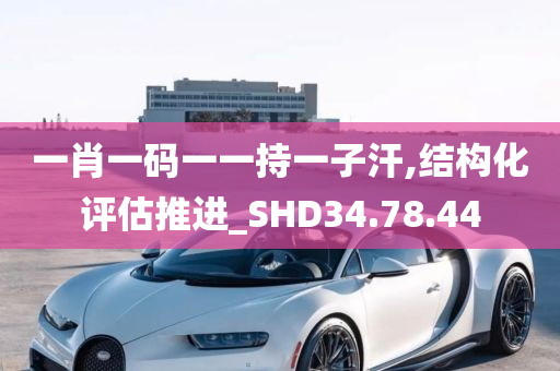 一肖一码一一持一子汗,结构化评估推进_SHD34.78.44