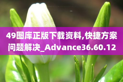 49图库正版下载资料,快捷方案问题解决_Advance36.60.12