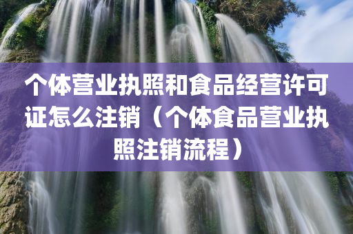 个体营业执照和食品经营许可证怎么注销（个体食品营业执照注销流程）