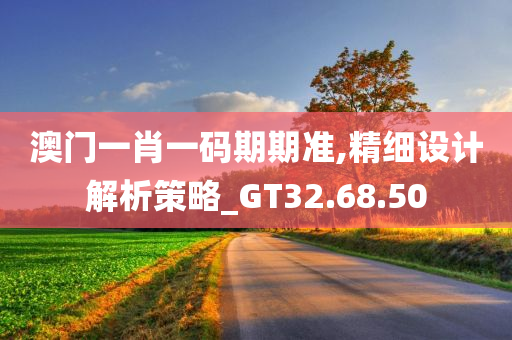 澳门一肖一码期期准,精细设计解析策略_GT32.68.50