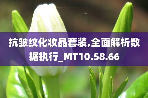 抗皱纹化妆品套装,全面解析数据执行_MT10.58.66