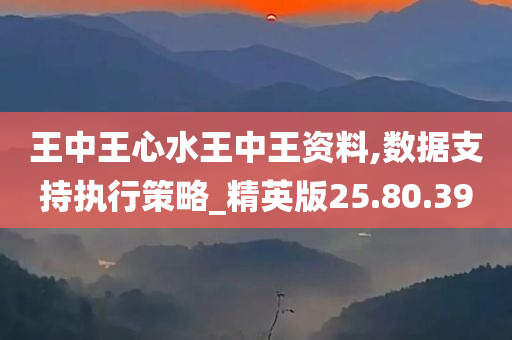 王中王心水王中王资料,数据支持执行策略_精英版25.80.39