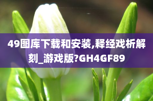 49图库下载和安装,释经戏析解刻_游戏版?GH4GF89