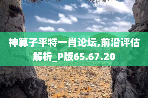 神算子平特一肖论坛,前沿评估解析_P版65.67.20