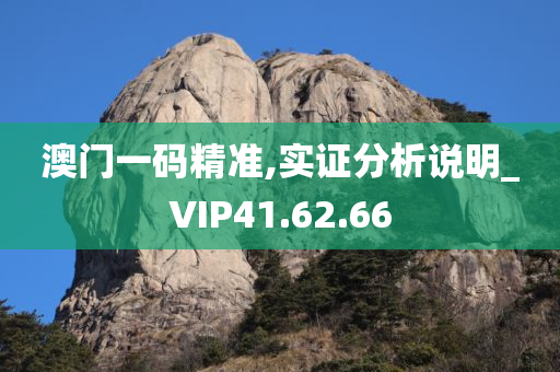 澳门一码精准,实证分析说明_VIP41.62.66