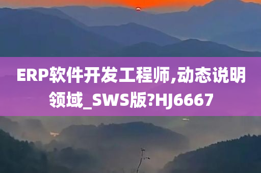 ERP软件开发工程师,动态说明领域_SWS版?HJ6667