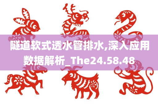 隧道软式透水管排水,深入应用数据解析_The24.58.48