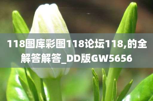 118图库彩图118论坛118,的全解答解答_DD版GW5656