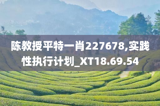 陈教授平特一肖227678,实践性执行计划_XT18.69.54