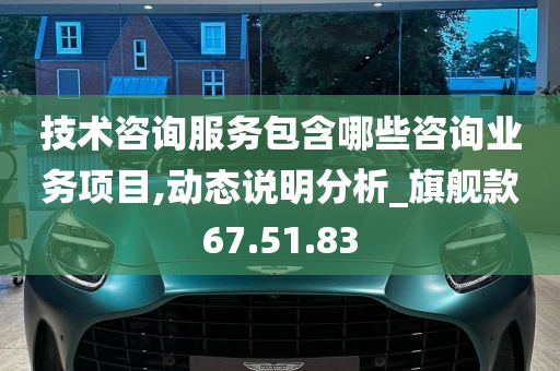 技术咨询服务包含哪些咨询业务项目,动态说明分析_旗舰款67.51.83