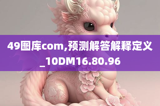 49图库com,预测解答解释定义_10DM16.80.96