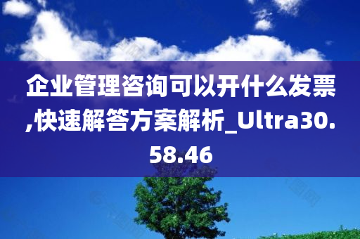 企业管理咨询可以开什么发票,快速解答方案解析_Ultra30.58.46