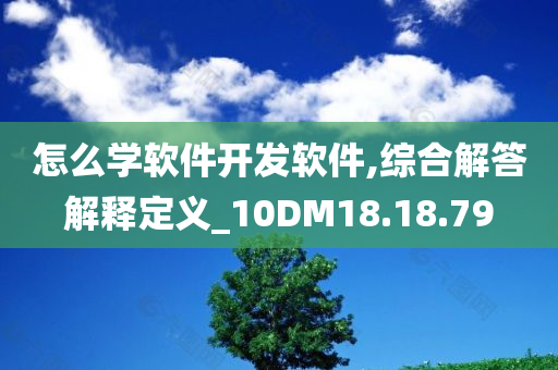 怎么学软件开发软件,综合解答解释定义_10DM18.18.79