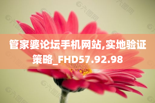 管家婆论坛手机网站,实地验证策略_FHD57.92.98