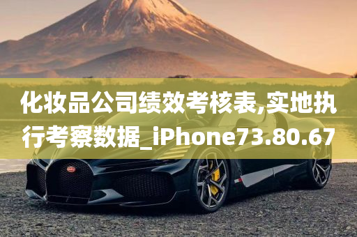 化妆品公司绩效考核表,实地执行考察数据_iPhone73.80.67