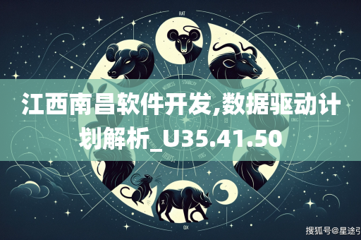 江西南昌软件开发,数据驱动计划解析_U35.41.50