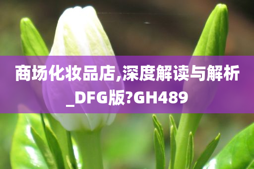 商场化妆品店,深度解读与解析_DFG版?GH489