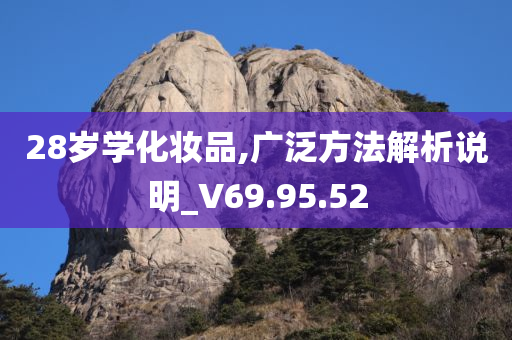 28岁学化妆品,广泛方法解析说明_V69.95.52