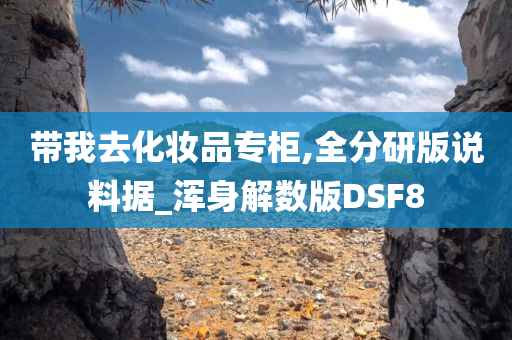 带我去化妆品专柜,全分研版说料据_浑身解数版DSF8