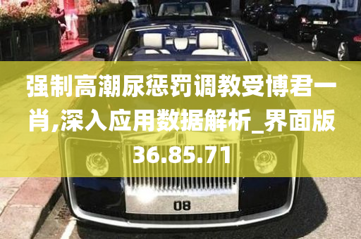 强制高潮尿惩罚调教受博君一肖,深入应用数据解析_界面版36.85.71