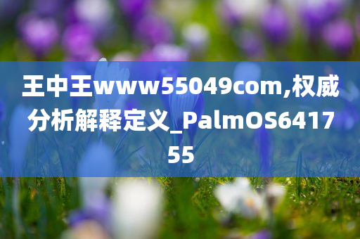 王中王www55049com,权威分析解释定义_PalmOS641755