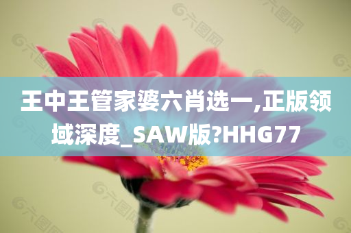 王中王管家婆六肖选一,正版领域深度_SAW版?HHG77