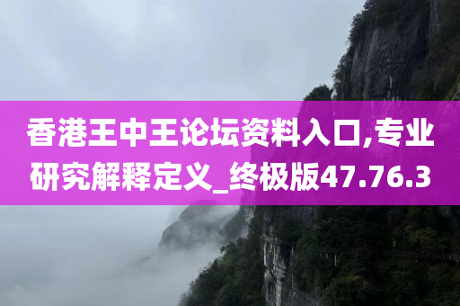 香港王中王论坛资料入口,专业研究解释定义_终极版47.76.30